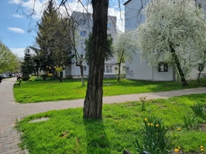 Apartament 2 camere decomandate, spațios- Centru, Petru Rareș- 9 Mai - imagine 10