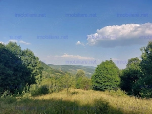  Cabană și teren 1600 metri intravilan  la  munte - imagine 4