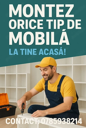 Montez orice tip de mobila