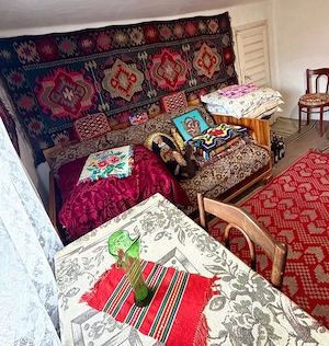  Casă de Vacanță la Munte   Vatra Dornei (Direct Proprietar) - imagine 7