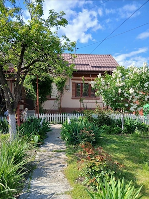 Casa de vanzare in apropiere de București  - imagine 6