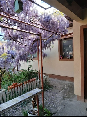 Casa de vanzare in apropiere de București  - imagine 10