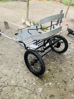 Șareta de vânzare de 1 Cal arcuri frâna roți cu ,Camere - imagine 3