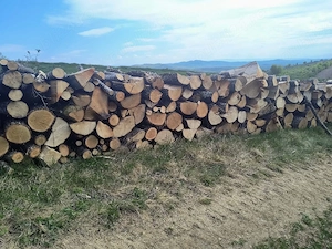 Vand lemne de foc esenta tare transport la domiciliu 