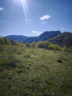 Vând teren pe Transapuseana in Ponor  - imagine 4