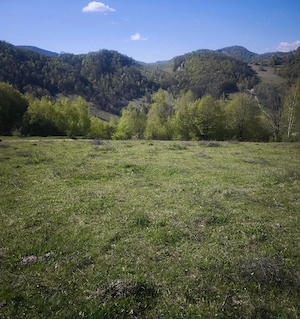 Vând teren pe Transapuseana in Ponor  - imagine 2