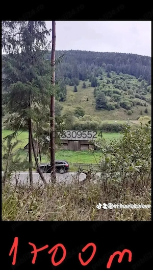 teren intravilan in munti capul corbul harghita  - imagine 2
