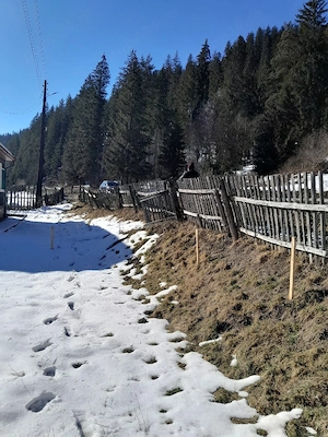 teren intravilan in munti capul corbul harghita  - imagine 5