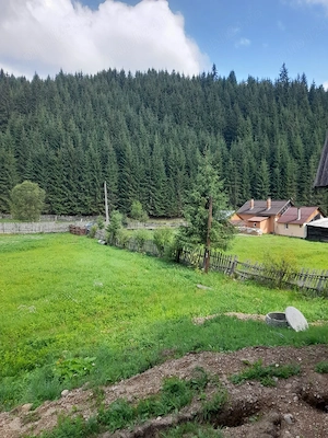teren intravilan in munti capul corbul harghita  - imagine 9