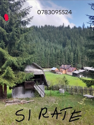 teren intravilan in munti capul corbul harghita  - imagine 7