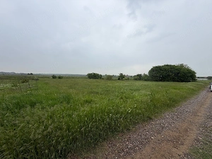Teren de vânzare   Grădiștea, Ilfov | 2.000 mp | Ideal pentru casă sau investiție - imagine 4