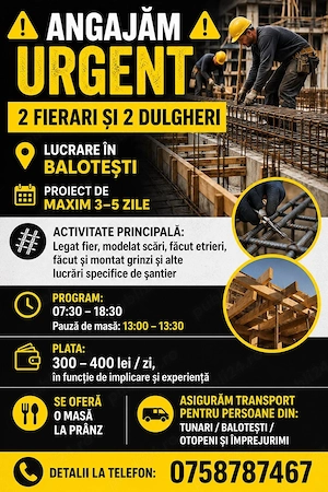 Angajam urgent dulgheri si fierari 