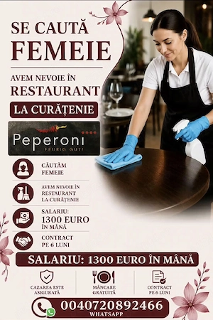 Muncă  restaurant in Germania 
