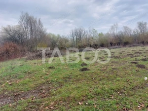 Teren intravilan pentru casa zona linistita 550 mp front 21 m Cisnadie - imagine 7