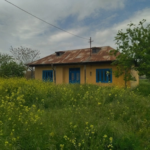 Vând teren intravilan plus casă batraneasca în Plopul, Murighiol, Tulcea. Suprafață totala 743 mp - imagine 2
