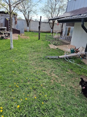 BREBU!!!Casă de vânzare  cu posibilitate  de a achita in rate cu un avans de 65000 euro.  - imagine 10