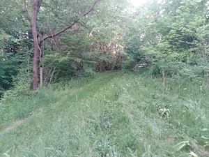 vand teren in   natura - imagine 3