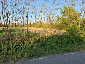 teren intravilan valea vinului 