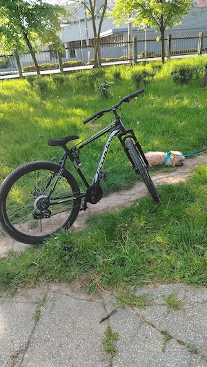 Vând biciclets brcucles 