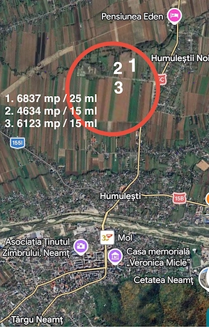 Târgu Neamț - Str. Valea Seacă: Teren intravilan, asfalt, toate utilitățile - Negociabil! - imagine 4