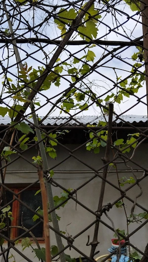 Casă 3 camere + grădină + atelier, zonă liniștită Călan Vechi - imagine 3
