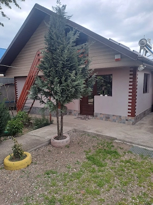 vand casă plus teren in Bogdan Vodă  - imagine 3