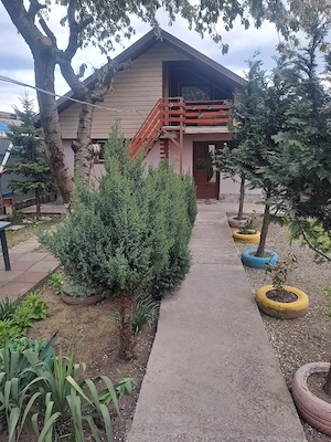 vand casă plus teren in Bogdan Vodă  - imagine 4