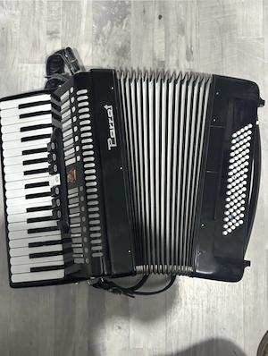 Acordeon Parrot 80 bași 