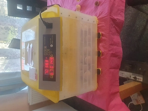 Vind incubator automat - imagine 5