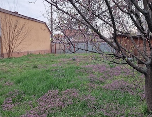 VAND TEREN INTRAVILAN CARTIER IOȘIA Oradea, zona linistita (aproape de Penny si Lidl Iosia) - imagine 3