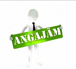 Angajam Sofer Profesionist Categoria C+E