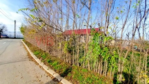Casa cu teren generos in Mosneni – oportunitate excelenta pentru locuinta sau investitie