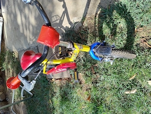Bicicletă copii DELPHIN