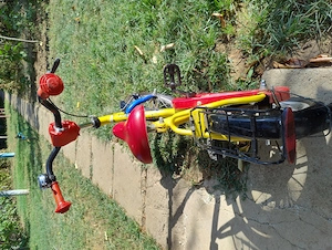 Bicicletă copii DELPHIN - imagine 3