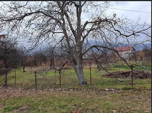 Teren intravilan 