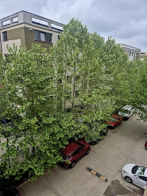 Vanzare 2 camere direct proprietar Popești-Leordeni 