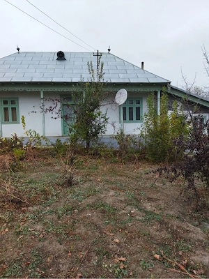 Casa de vanzare in Garvan, judetul Tulcea   gospodarie traditionala cu teren generos - imagine 5