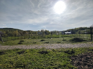 Teren extravilan,intravilan cu ieșire la lac - imagine 3