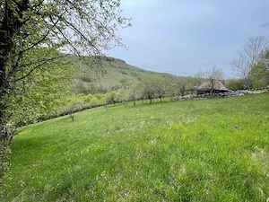 Casă , livada și pădure Bătrâna jud Hunedoara ținutul pădurenilor. - imagine 6