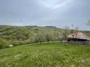 Casă , livada și pădure Bătrâna jud Hunedoara ținutul pădurenilor. - imagine 4