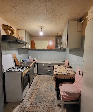 Casă de vanzare 3 camere - Tei Toboc - imagine 3