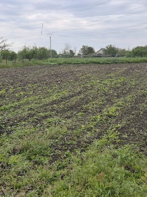 DOAR PÂNĂ LA SFÂRȘITUL LUI MAI: 45000 euro, pentru 2500mp  pământ INTRAVILAN, in Slobozia. - imagine 8