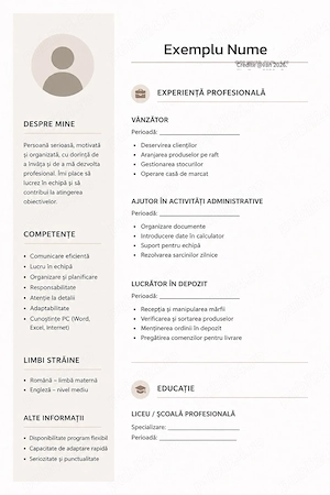 Creez CV-uri profesionale rapid