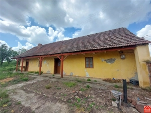 Casa veche cu teren mare in Vinga - imagine 2