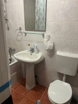 De închiriat apartament 1 camera, Cluj - imagine 9