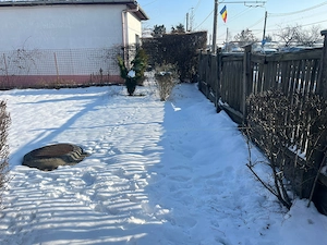 Vând teren intravilan în Someșeni  - imagine 3