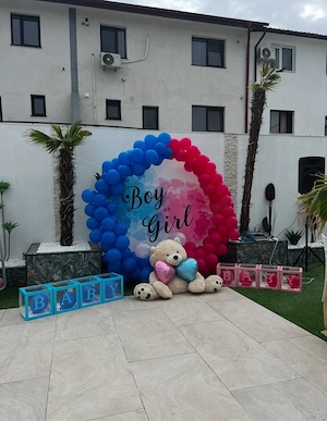 Închiriere Arcadă 220 cm + husa Boy or Girl + Decor Gender Reveal
