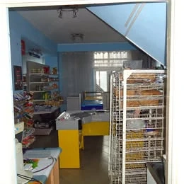 Imobil de Inchiriat - imagine 7