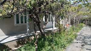 V nd casa in Jurilovca centru  - imagine 8