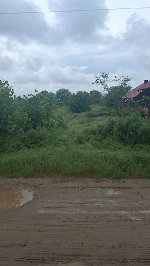 Teren intravilan